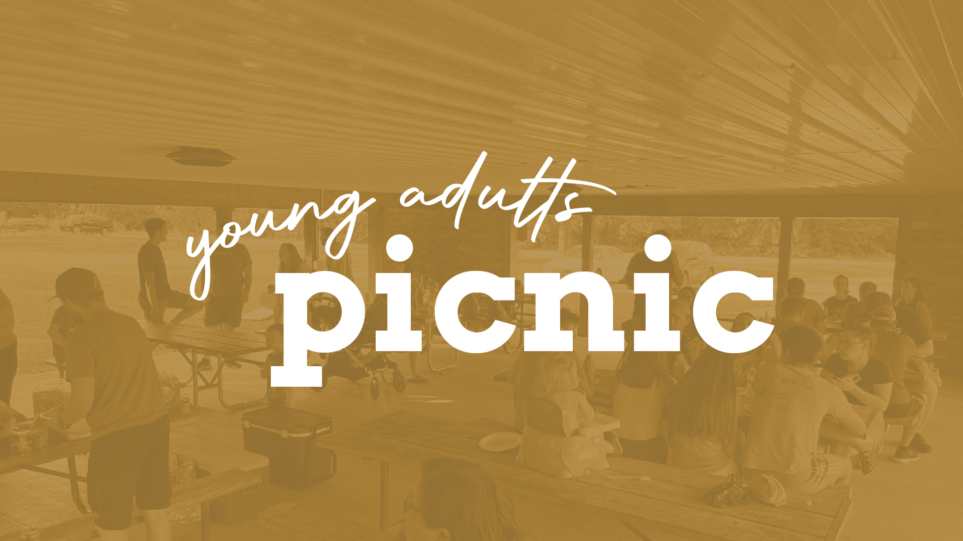 Young Adult Picnic