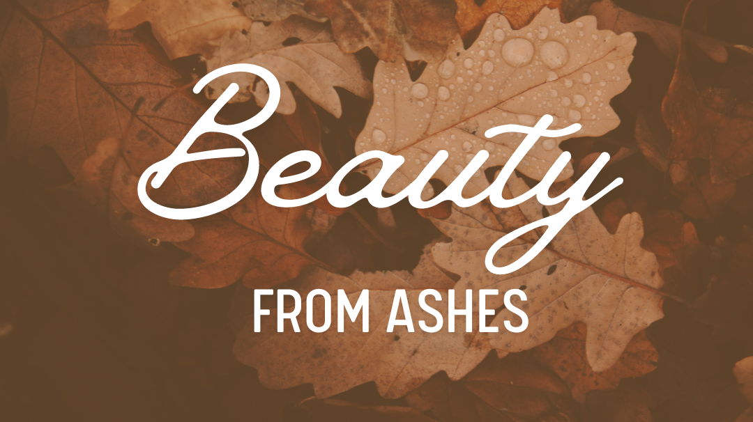 Beauty from Ashes